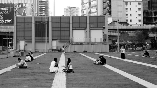 How Do British People Choose the Perfect Pet for Their Lifestyle?