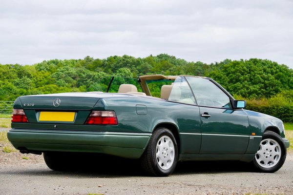 How Can You Ensure Your Pet's Wellbeing While Traveling in the UK?